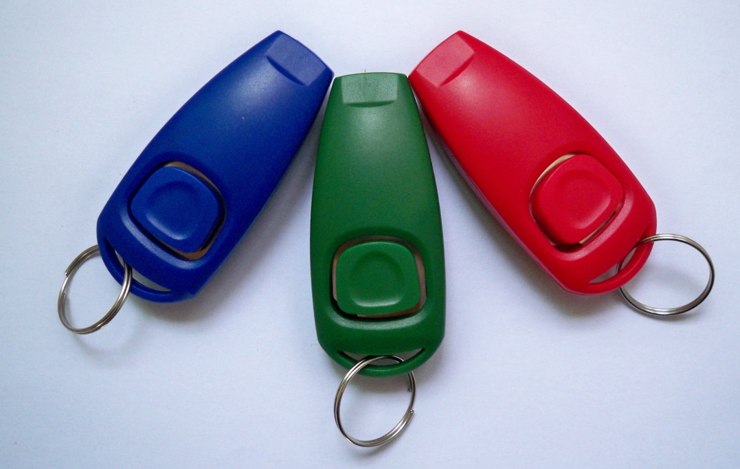 Dog Training Whistle&Clicker Combination(CT 0885)