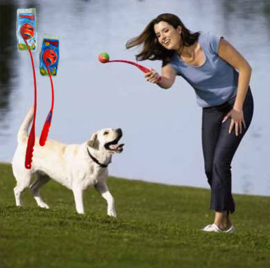 Ball launcher for dogs toy(DBT 0621)