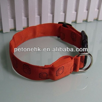 red dog led collar