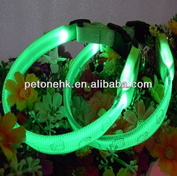 green led glowing dog collar