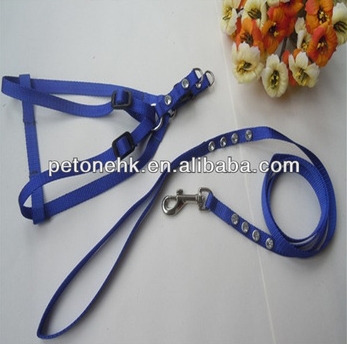 durable quick release dog leash and harness