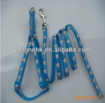 pet dog collar and leash