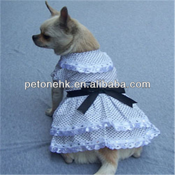 fashionable dog clothes dress