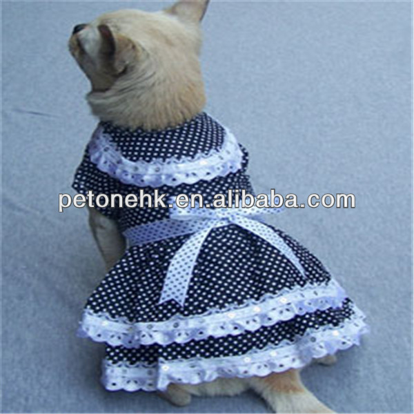 fashionable dog dress