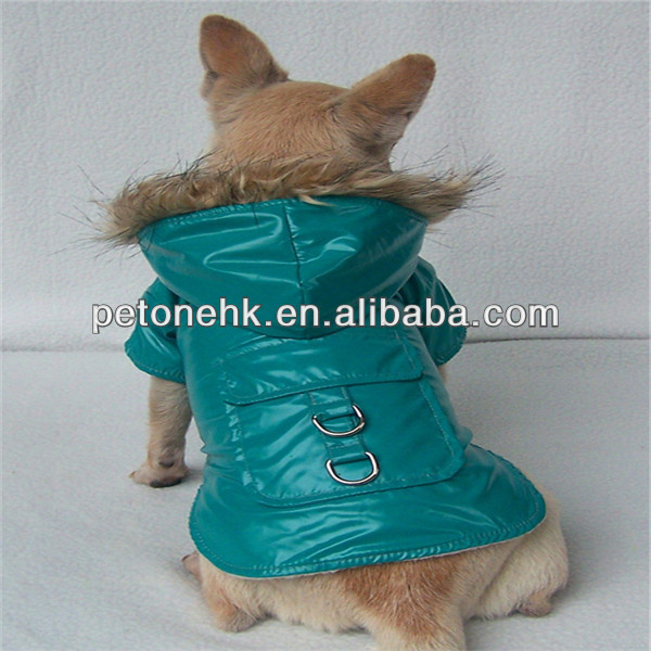 fashionable pets dogs sexy clothes