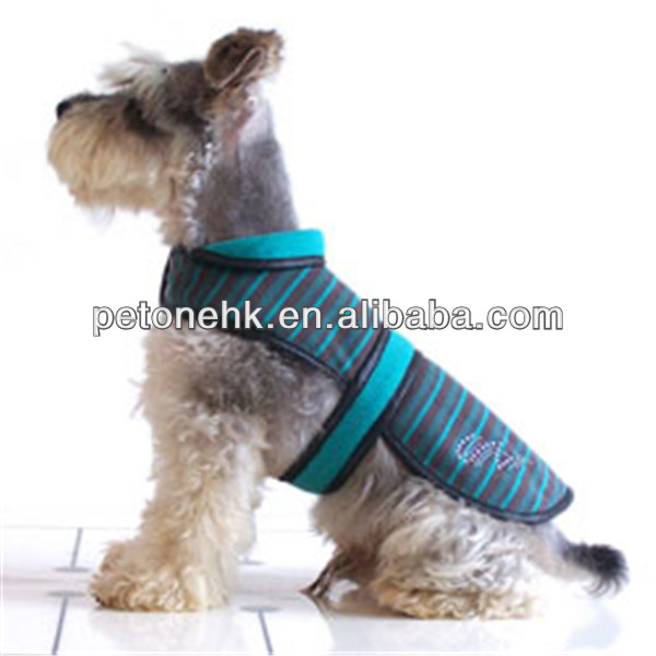 fashionable factory dog clothing boy