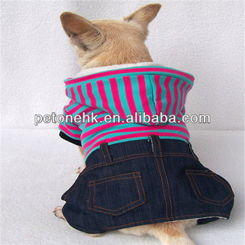 pet dog winter clothes