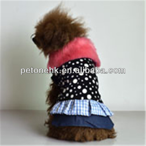 pet dog clothes for europe